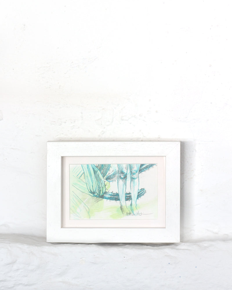 Drawing cactus garden in a white box frame on a plaster shelf with soft light. Legs are at one with nature in the cactus garden.